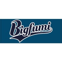【Bigfumi】「THE 定番」フェイスタオル