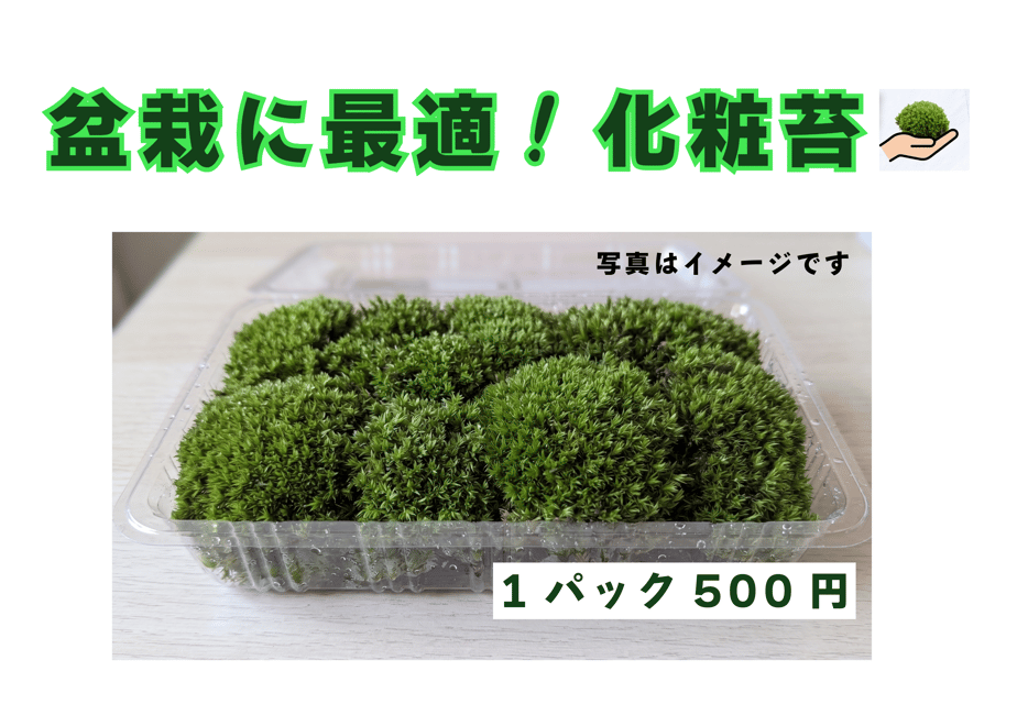 6a4c853b26a25c38f7793018