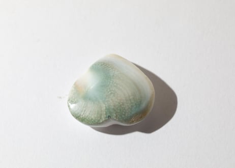 【悟りのシッディ入り】オペルキュラムシェル ハート