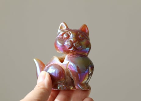葉月ゆうによる技封入❣️【自分と対立する遺伝子プログラムの解放】エンジェルオーラ ドゥルジーカーネリアン ねこ