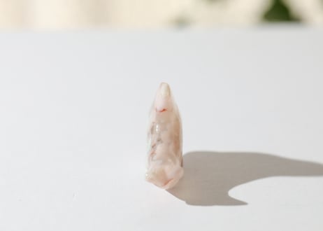 葉月ゆうによる技封入❣️【青天井に良い人間になる】チェリーブロッサムアゲート イルカ