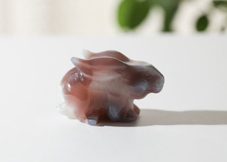 葉月ゆうによる技封入❣️【自分と対立する遺伝子プログラムの解放】アゲート うさぎ