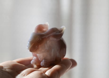 葉月ゆうによる技封入❣️【自分と対立する遺伝子プログラムの解放】アゲート うさぎ