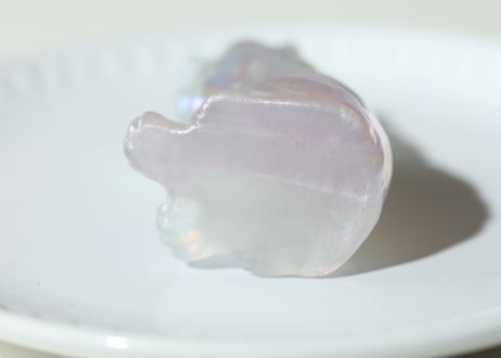 ライオンズゲートのエナジーLion of Jupiter＆葉月ゆうによる技封入❣️【青天井にラッキーを引き寄せる】エンジェルオーラ フローライト ライオン ※イベントクーポン使用不可