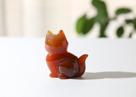 葉月ゆうによる技封入❣️【自分と対立する遺伝子プログラムの解放】ドゥルジーカーネリアン ねこ