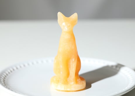 ライオンズゲートのエナジーLion of Jupiter＆葉月ゆうによる技封入❣️【青天井にラッキーを引き寄せる】オレンジカルサイト バステト ※イベントクーポン使用不可