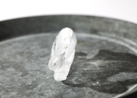 葉月ゆうによる技封入❣️【自分と対立する遺伝子プログラムの解放】オリジナルカード付き クリアクォーツ イルカ