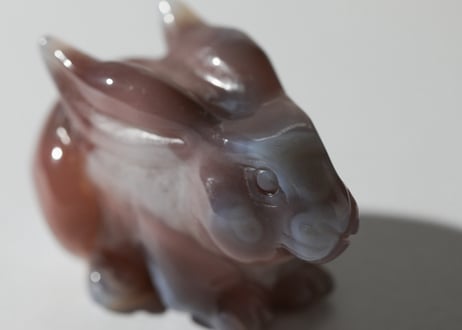 葉月ゆうによる技封入❣️【自分と対立する遺伝子プログラムの解放】アゲート うさぎ