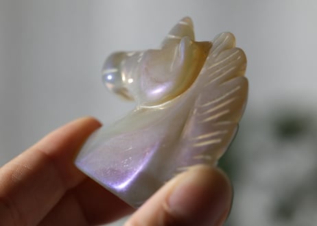 葉月ゆうによる技封入❣️【自分と対立する遺伝子プログラムの解放】エンジェルオーラ ドゥルジーアゲート ユニコーン