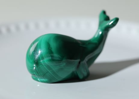 葉月ゆうによる技封入❣️【カルマ解放】マラカイト くじら