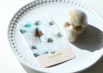葉月ゆうによる技封入❣️【多次元の才能と繋がる】オリジナルカード付き アマゾナイト スカル