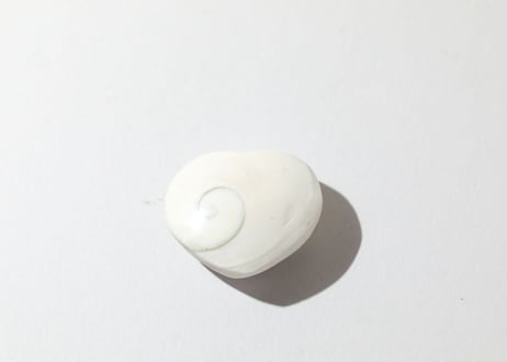 【悟りのシッディ入り】オペルキュラムシェル ハート