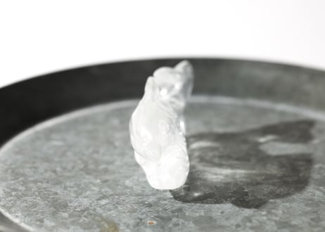 葉月ゆうによる技封入❣️【自分と対立する遺伝子プログラムの解放】オリジナルカード付き クリアクォーツ イルカ