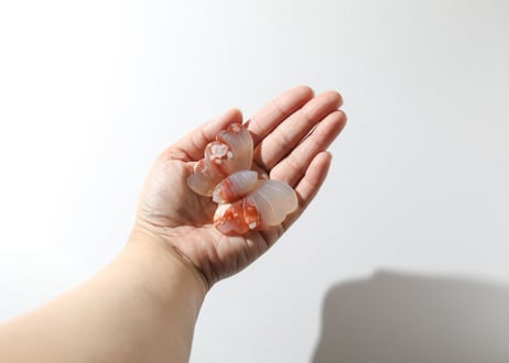 葉月ゆうによる技封入❣️【自分と対立する遺伝子プログラムの解放】カーネリアン＆チェリーブロッサムアゲート バタフライ