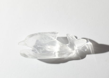 葉月ゆうによる技封入❣️【自分と対立する遺伝子プログラムの解放】オリジナルカード付き クリアクォーツ イルカ