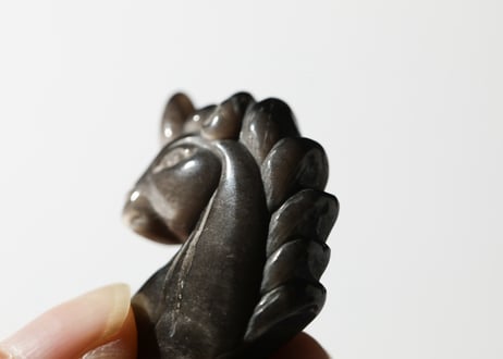 【悟りのシッディ入り】ユニコーン