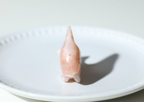 葉月ゆうによる技封入❣️【多次元の才能と繋がる】オリジナルカード付き チェリーブロッサムアゲート イルカ