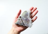 葉月ゆうによる技封入❣️【青天井にますます良い人間になる】エンジェルオーラ クリアクォーツ 精霊
