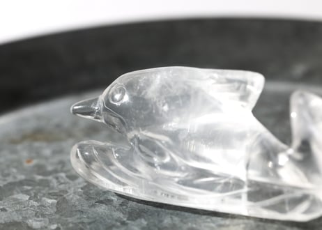 葉月ゆうによる技封入❣️【自分と対立する遺伝子プログラムの解放】オリジナルカード付き クリアクォーツ イルカ