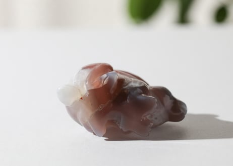 葉月ゆうによる技封入❣️【自分と対立する遺伝子プログラムの解放】アゲート うさぎ