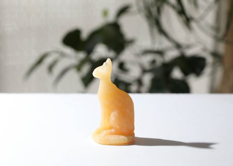 葉月ゆうによる技封入❣️【カルマ解放】オレンジカルサイト バステト