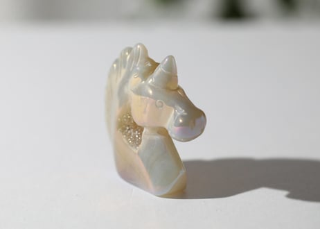 葉月ゆうによる技封入❣️【自分と対立する遺伝子プログラムの解放】エンジェルオーラ ドゥルジーアゲート ユニコーン