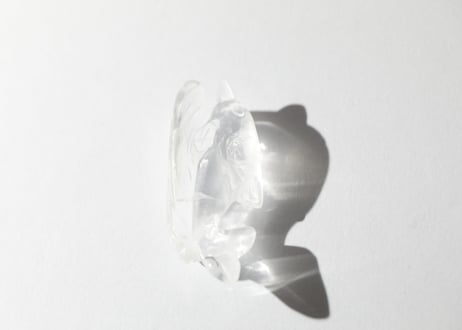 葉月ゆうによる技封入❣️【自分と対立する遺伝子プログラムの解放】オリジナルカード付き クリアクォーツ イルカ