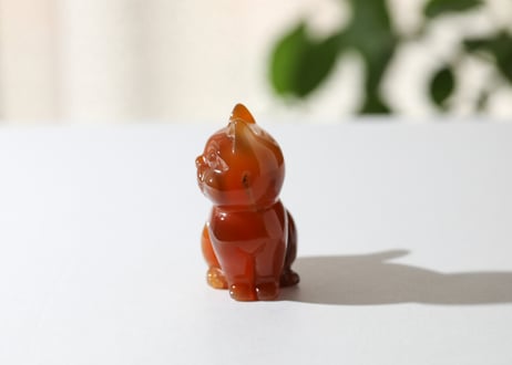 葉月ゆうによる技封入❣️【自分と対立する遺伝子プログラムの解放】ドゥルジーカーネリアン ねこ