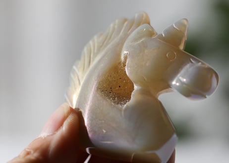 葉月ゆうによる技封入❣️【自分と対立する遺伝子プログラムの解放】エンジェルオーラ ドゥルジーアゲート ユニコーン
