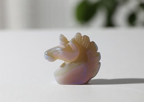 葉月ゆうによる技封入❣️【自分と対立する遺伝子プログラムの解放】エンジェルオーラ ドゥルジーアゲート ユニコーン