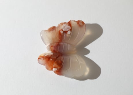葉月ゆうによる技封入❣️【自分と対立する遺伝子プログラムの解放】カーネリアン＆チェリーブロッサムアゲート バタフライ