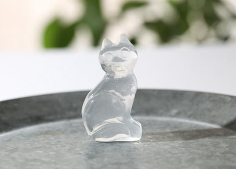 葉月ゆうによる技封入❣️【自分と対立する遺伝子プログラムの解放】オリジナルカード付き クリアクォーツ ねこ