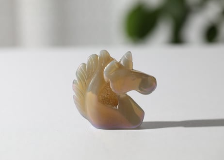 葉月ゆうによる技封入❣️【自分と対立する遺伝子プログラムの解放】エンジェルオーラ ドゥルジーアゲート ユニコーン