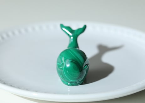 葉月ゆうによる技封入❣️【カルマ解放】マラカイト くじら