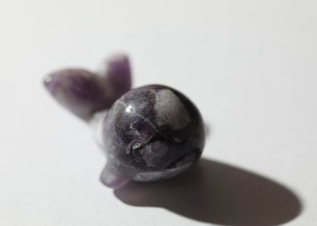 【悟りのシッディ入り】くじら