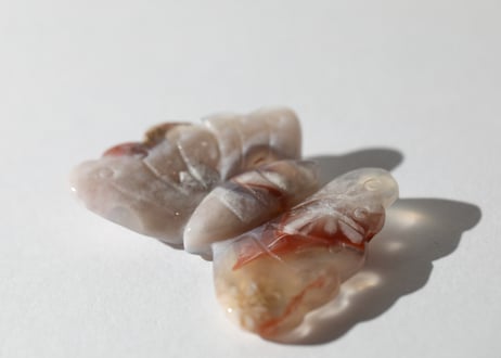 葉月ゆうによる技封入❣️【自分と対立する遺伝子プログラムの解放】カーネリアン＆チェリーブロッサムアゲート バタフライ