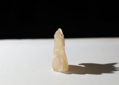 葉月ゆうによる技封入❣️【青天井に良い人間になる】チェリーブロッサムアゲート ユニコーン