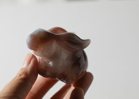葉月ゆうによる技封入❣️【自分と対立する遺伝子プログラムの解放】アゲート うさぎ