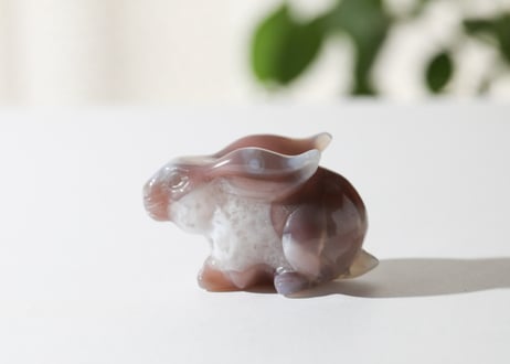 葉月ゆうによる技封入❣️【自分と対立する遺伝子プログラムの解放】アゲート うさぎ