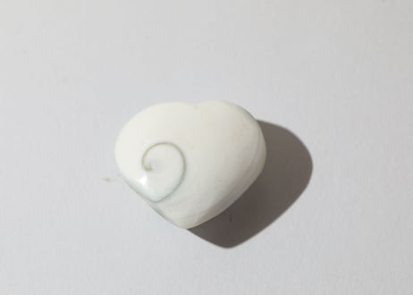 【悟りのシッディ入り】オペルキュラムシェル ハート
