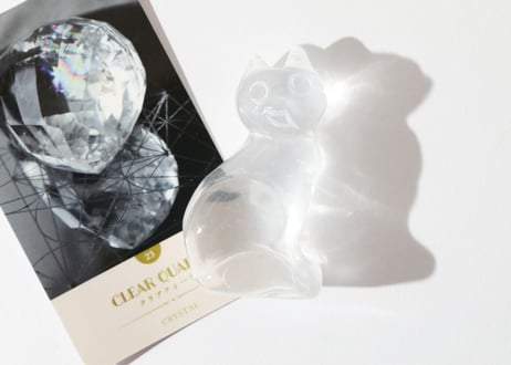葉月ゆうによる技封入❣️【自分と対立する遺伝子プログラムの解放】オリジナルカード付き クリアクォーツ ねこ