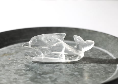 葉月ゆうによる技封入❣️【自分と対立する遺伝子プログラムの解放】オリジナルカード付き クリアクォーツ イルカ