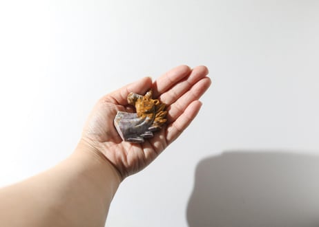 葉月ゆうによる技封入❣️【自分と対立する遺伝子プログラムの解放】オーシャンジャスパー ユニコーン