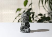 〈タイムウェーバーによる全世界にとってポジティブな存在になる調整入り〉パイライト ブッダ