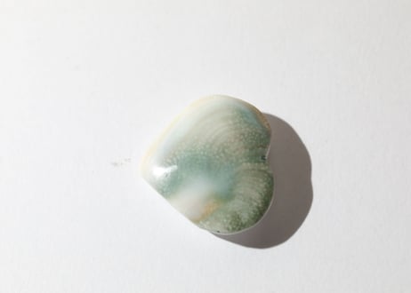 【悟りのシッディ入り】オペルキュラムシェル ハート