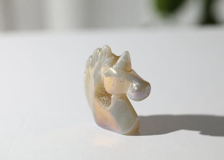 葉月ゆうによる技封入❣️【自分と対立する遺伝子プログラムの解放】エンジェルオーラ ドゥルジーアゲート ユニコーン