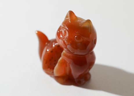 葉月ゆうによる技封入❣️【自分と対立する遺伝子プログラムの解放】ドゥルジーカーネリアン ねこ