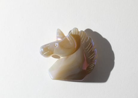 葉月ゆうによる技封入❣️【自分と対立する遺伝子プログラムの解放】エンジェルオーラ ドゥルジーアゲート ユニコーン