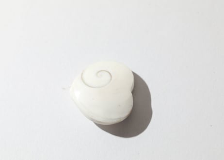 【悟りのシッディ入り】オペルキュラムシェル ハート