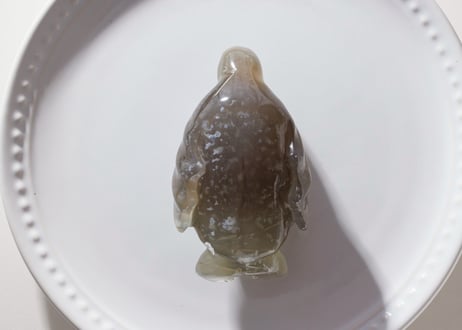 【福を呼ぶ】アゲート ペンギン